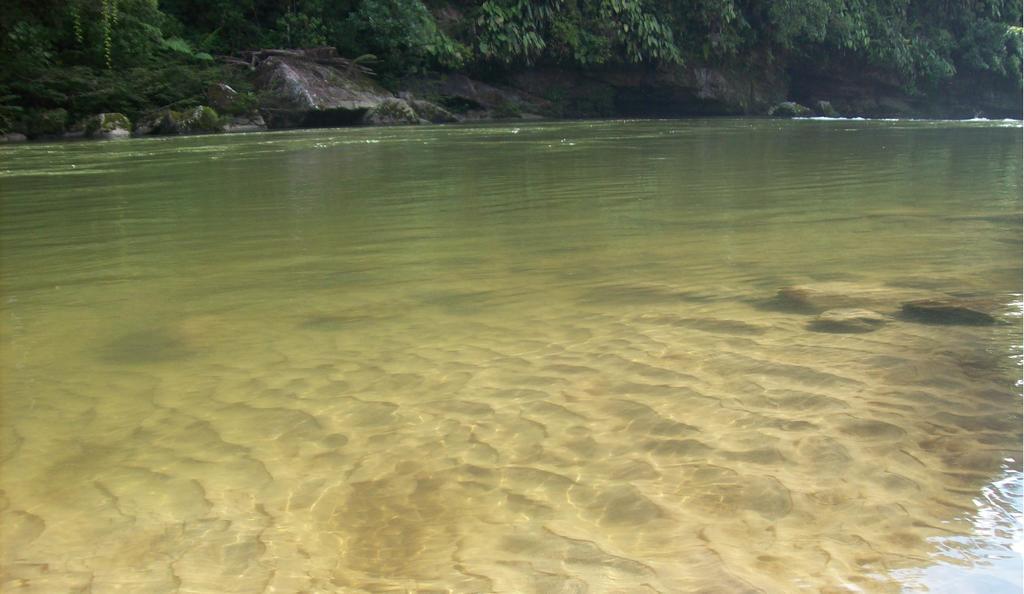 Playaselva Reserva Biologica Archidona Exteriör bild